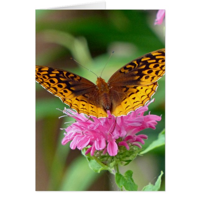 Papillon de contrôle argenté (Devant)