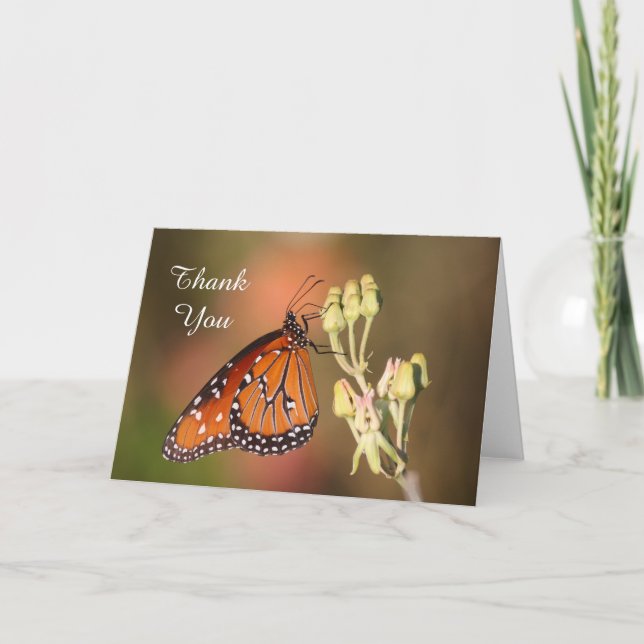 Papillon de la reine sur une branche, Merci (Devant)
