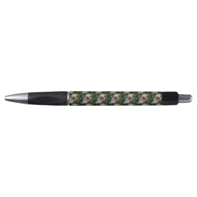 Papillon de l'amiral rouge et stylo de bouddleia (Devant)