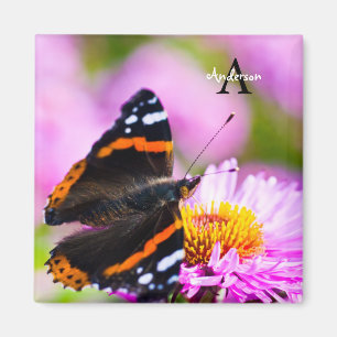 Papillon de l'amiral rouge sur un aimant à fleurs