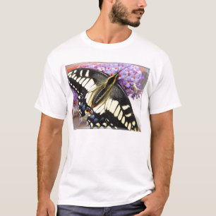 Papillon de machaon d'anis - le T-shirt des hommes