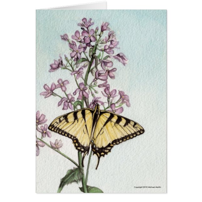 Papillon de machaon par Michael Martin (Devant)