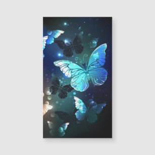 Papillon de nuit