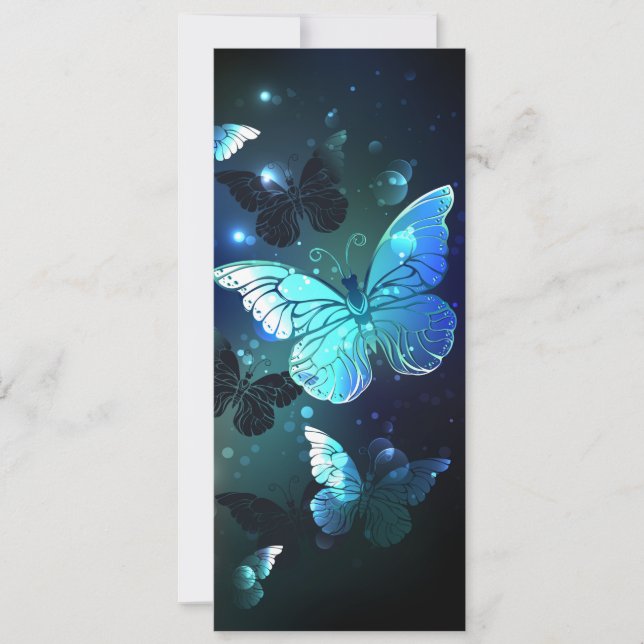 Papillon de nuit (Devant)