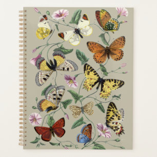 Papillon de nuit vintage 1842 Art botanique floral