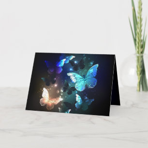 Papillon de nuit voltigeant