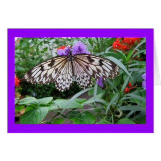 Papillon de papier de cerf-volant