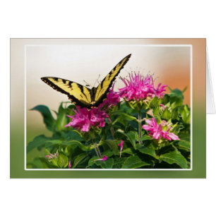 Papillon d'épaisse du tigre oriental