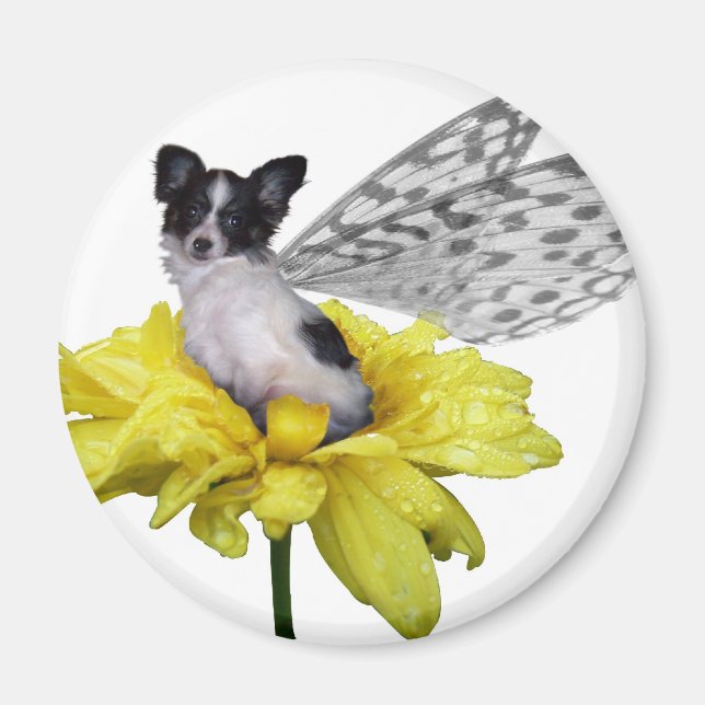 Papillon Dog Fairy Magnet (Devant)