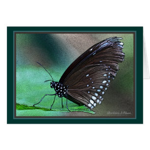 Papillon en Aqua
