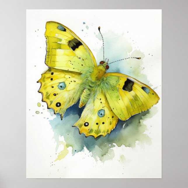 Papillon en soufre sans nuages Art Imprimer Poster (Devant)