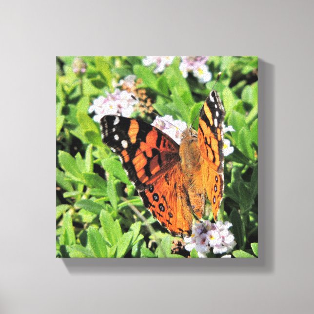 Papillon en toile florale (Recto)