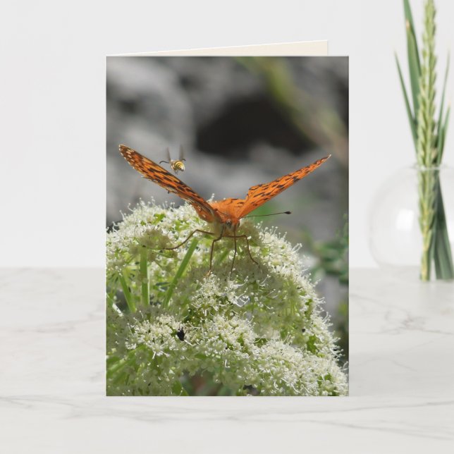 Papillon et abeille, carte de voeux vierge (Devant)