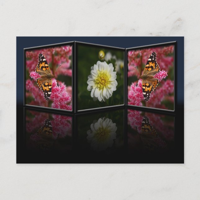 Papillon et carte postale Dahlia (Devant)