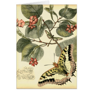 Papillon et libellule avec les fleurs rouges