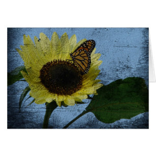 Papillon et tournesol