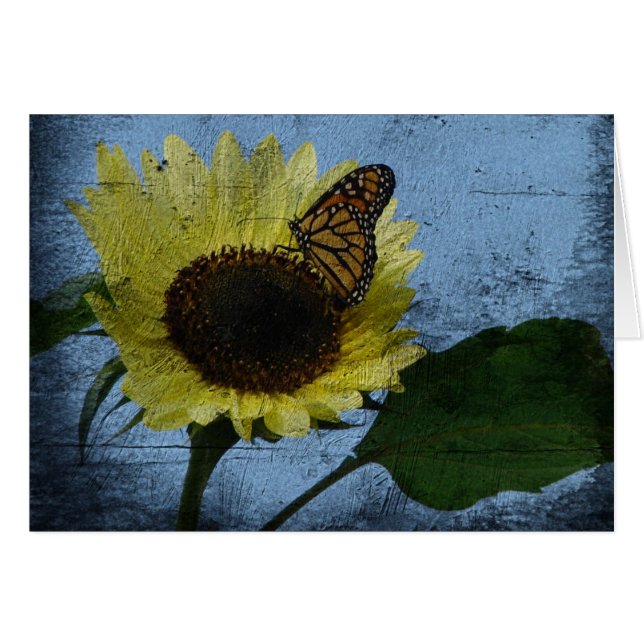 Papillon et tournesol (Devant horizontal)
