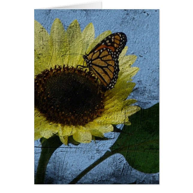 Papillon et tournesol (Devant)