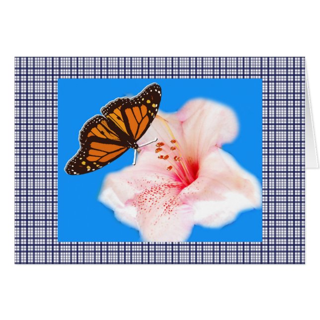 papillon, fleur rose et carreaux 2 (Devant horizontal)