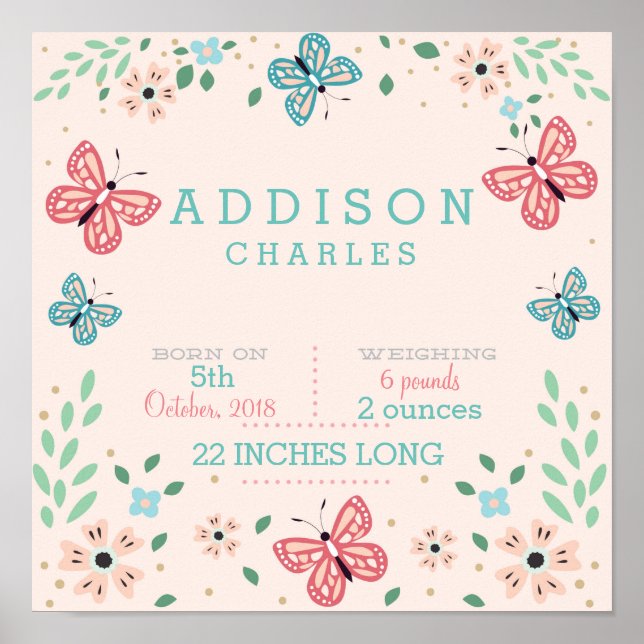 Papillon Floral Garden Baby Statistiques Poster (Devant)
