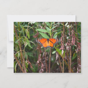 Papillon Fluttering dans Reeds Carte postale