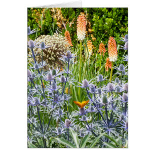 Papillon Fritillaire Dans Un Jardin D'Été