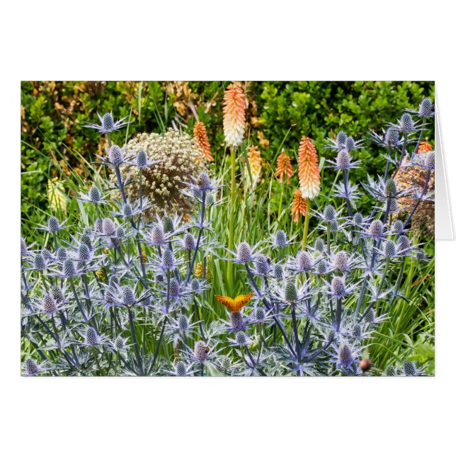Papillon Fritillaire Dans Un Jardin D'Été (Devant horizontal)