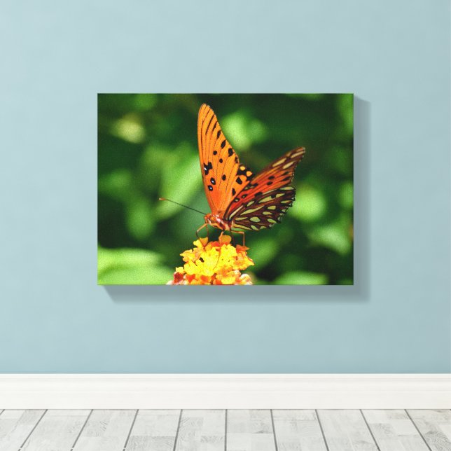 Papillon Gulf fritillaire Toile tendue imprimée (Insitu (Plancher de Bois))