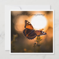 Papillon Inspirant du Coucher de Soleil Bonne Chan