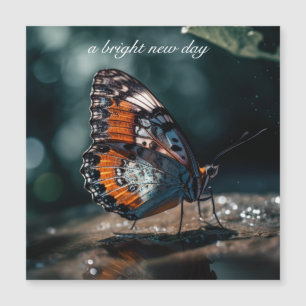 Papillon Inspirant Jour Nouveau Lumineux Personnal