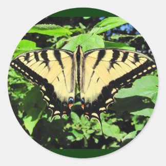 Papillon jaune ~ autocollant