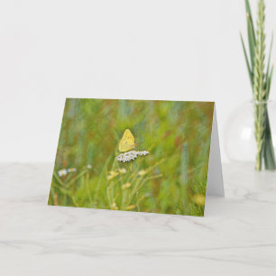 Papillon jaune Fleurs de la nature Carte de note d