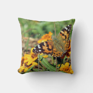 Papillon Lady Peinte sur Coussin de Jardin Zinnia