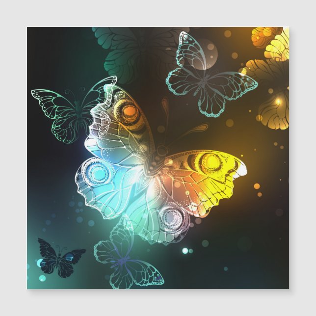 Papillon lumineux et papillons de nuit (Devant)