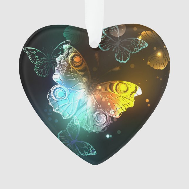 Papillon lumineux et papillons de nuit (devant)