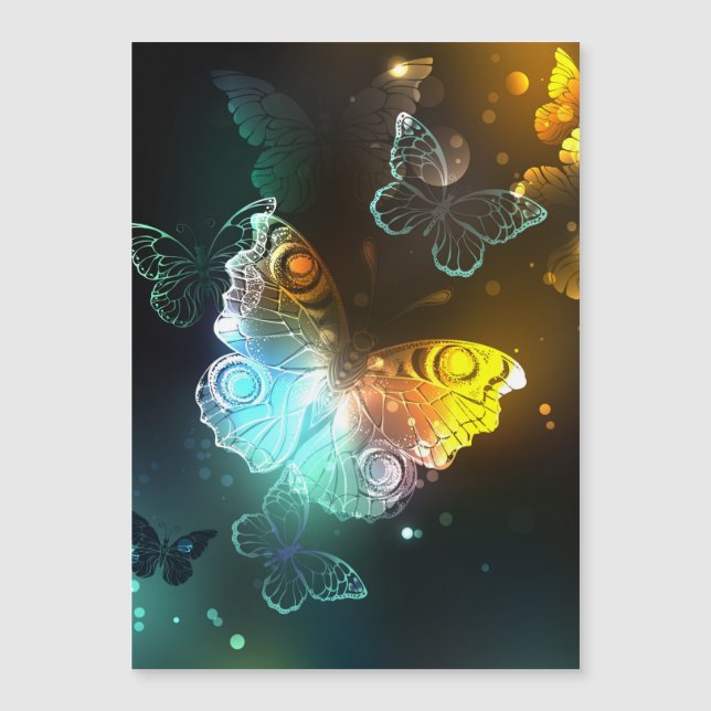 Papillon lumineux et papillons de nuit (Devant)
