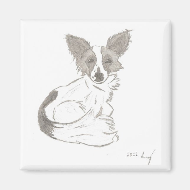 Papillon - Magnet (Devant)