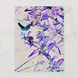 Papillon Mod - Carte postale