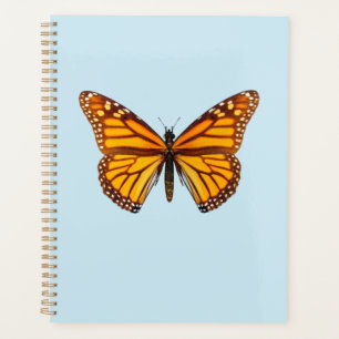 Papillon Monarque