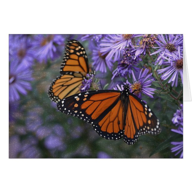 Papillon monarque (Devant Horizontal)
