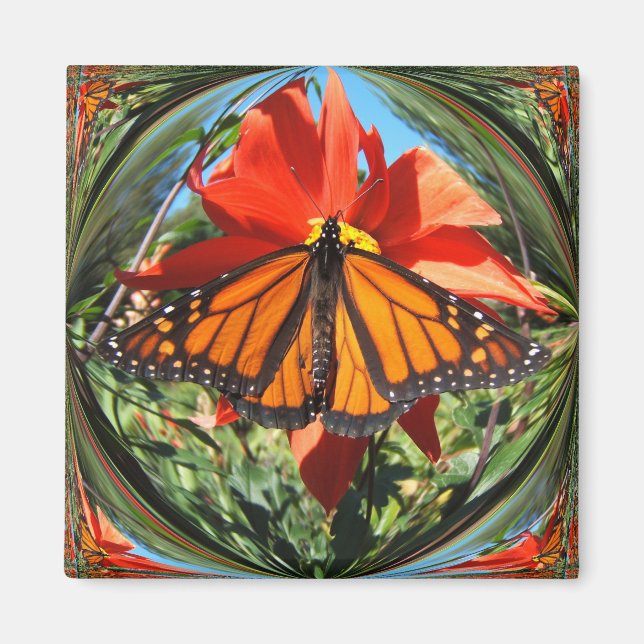 Papillon monarque ~ aimant (Devant)