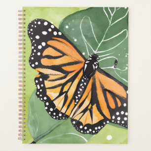 Papillon Monarque   Belle Aquarelle