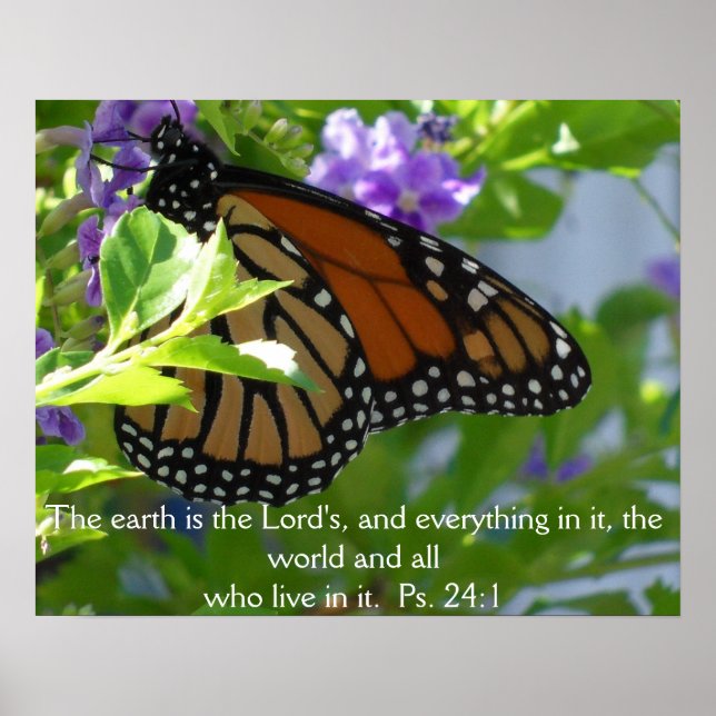 Papillon Monarque sur des Fleurs avec Affiche de V (Devant)