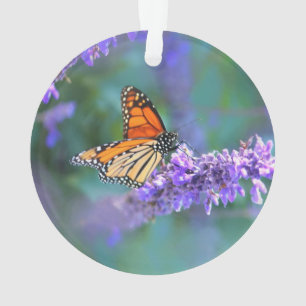 Papillon Monarque sur Fleur violette lilas