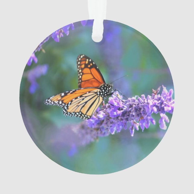 Papillon Monarque sur Fleur violette lilas (dos)