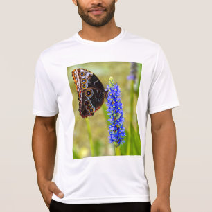 Papillon morpho bleu sur T-shirt orchidée marécage