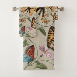 Papillon Moth Nature Collection Dessin