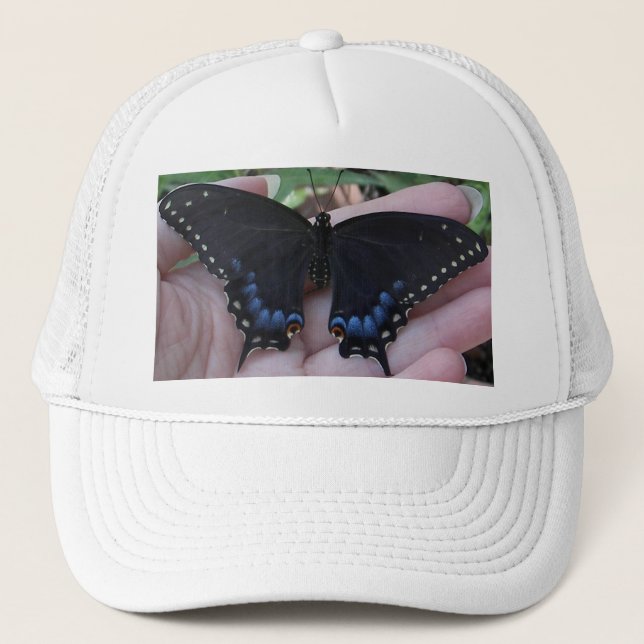 Papillon noir à queue noire #1 Casquette (Devant)