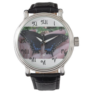 Papillon noir à queue noire #1 montre