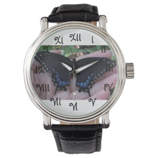 Papillon noir à queue noire #1 montre